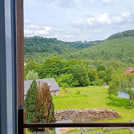 Apartment Le Petit Schaef - Proche Rocher De *